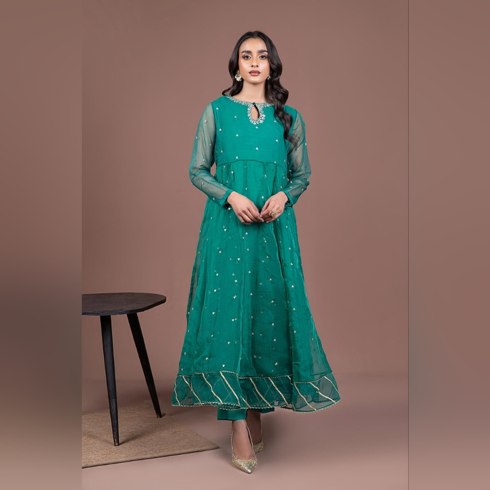 Embroidered Organza Suit - 2pc